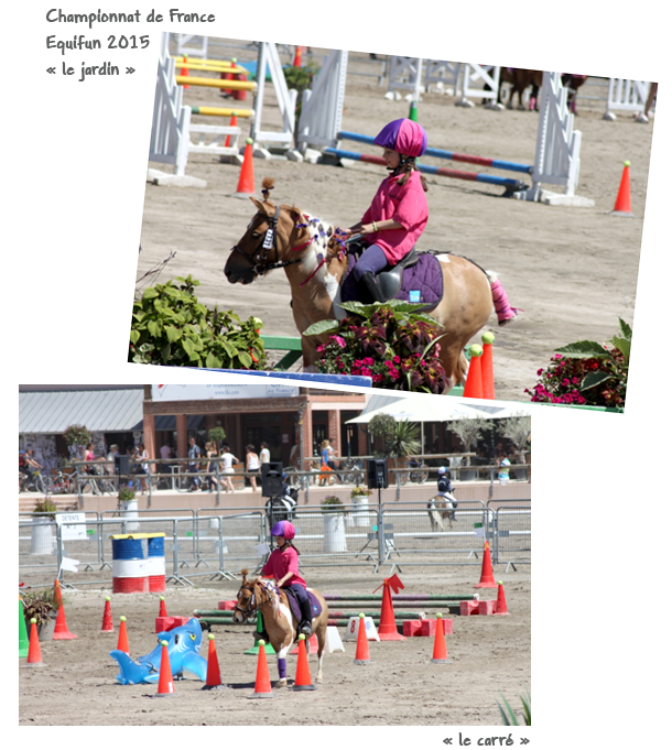 Gite et ferme equestre - equi-gite-pesteau