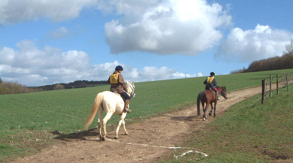 Gite et ferme equestre - equi-gite-pesteau