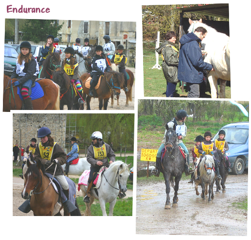 Gite et ferme equestre - equi-gite-pesteau