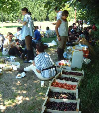 Gite et ferme equestre - equi-gite-pesteau