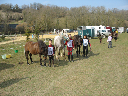 Gite et ferme equestre - equi-gite-pesteau