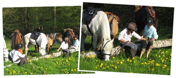 Gite et ferme equestre - equi-gite-pesteau