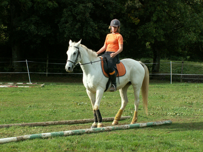 Gite et ferme equestre - equi-gite-pesteau