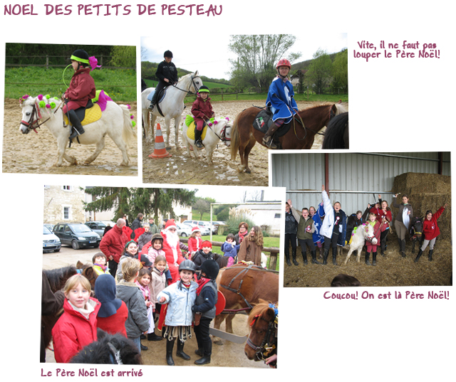 Gite et ferme equestre - equi-gite-pesteau