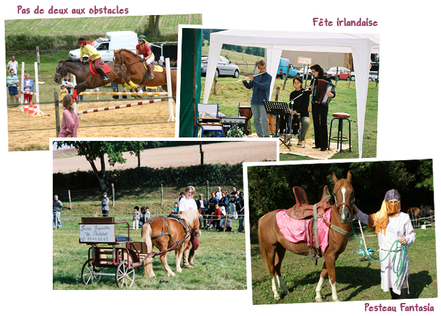 Gite et ferme equestre - equi-gite-pesteau