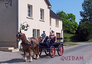 Gite et ferme equestre - equi-gite-pesteau