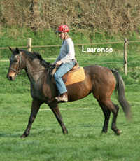 Gite et ferme equestre - equi-gite-pesteau