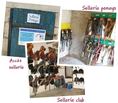 Gite et ferme equestre - equi-gite-pesteau