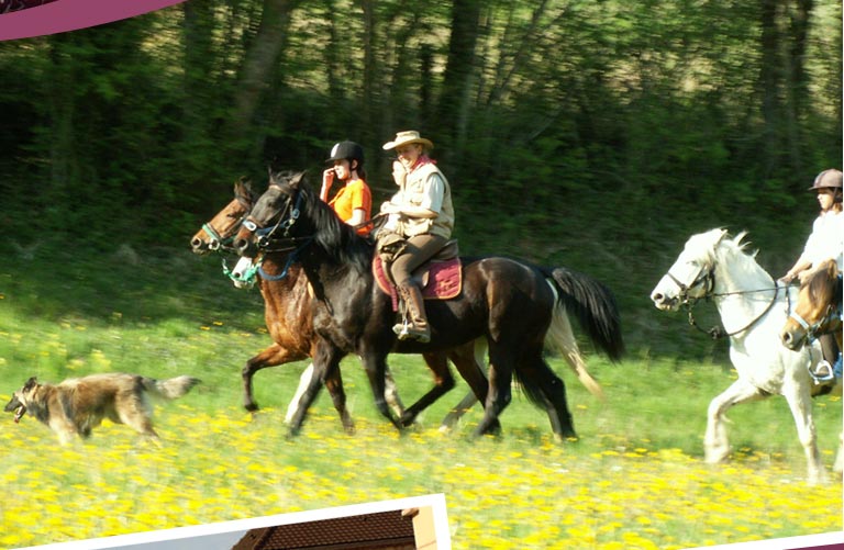 Gite et ferme equestre - equi-gite-pesteau