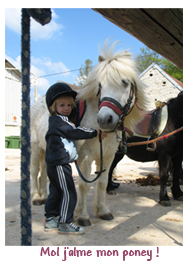 Gite et ferme equestre - equi-gite-pesteau