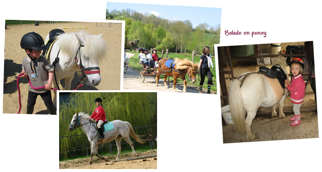 Gite et ferme equestre - equi-gite-pesteau