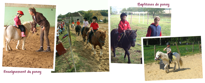 Gite et ferme equestre - equi-gite-pesteau