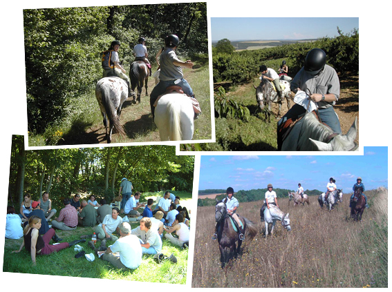 Gite et ferme equestre - equi-gite-pesteau