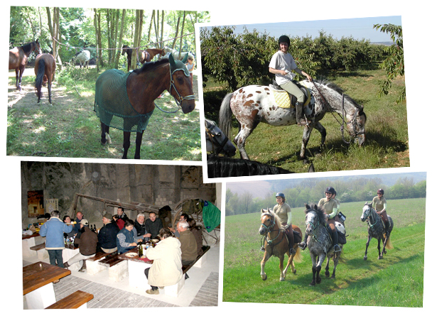 Gite et ferme equestre - equi-gite-pesteau